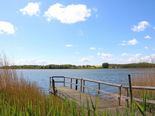 Casa a schiera Sellin Ambiente 34