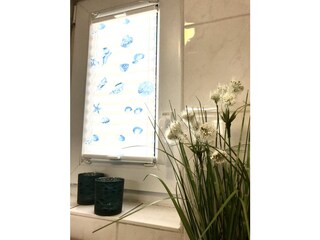 Casa a schiera Sellin Caratteristiche 21