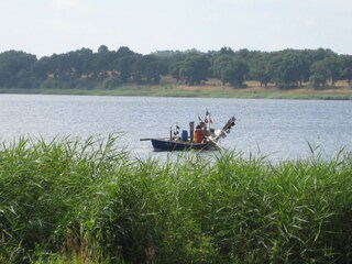 Casa a schiera Sellin Ambiente 25