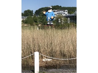 Casa a schiera Sellin Ambiente 26