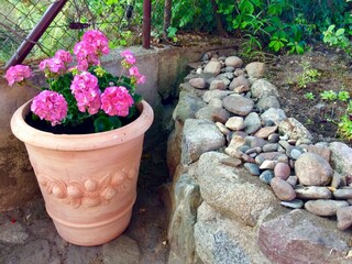 Holiday house Mielenko Outdoor Recording 4