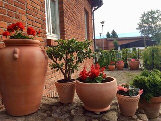 Holiday house Mielenko Outdoor Recording 2