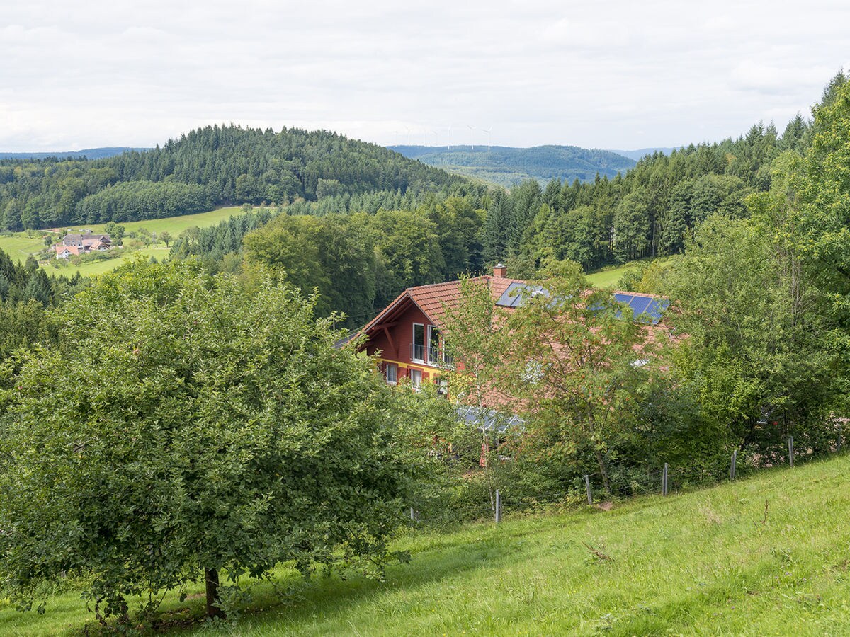 Apartamento de vacaciones Freiamt Grabación al aire libre 1