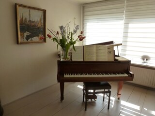 Casa per le vacanze Bergen (Holland) Caratteristiche 12