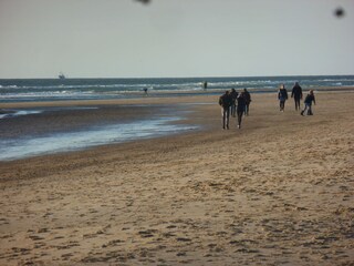 Casa per le vacanze Bergen (Holland) Ambiente 19