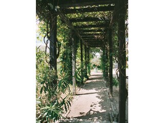 Holiday apartment Werder/Havel Outdoor Recording 4