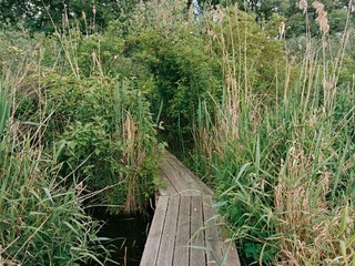 Holiday apartment Werder/Havel Outdoor Recording 7