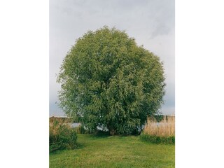 Holiday apartment Werder/Havel Environment 39