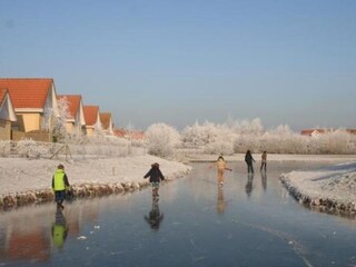 Casa per le vacanze Kamperland Documento 22