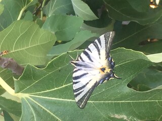 Casale Montefiascone Registrazione all'aperto 8