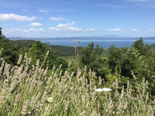 Cottage Montefiascone Outdoor Recording 11