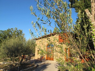 Cottage Montefiascone Outdoor Recording 4