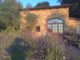 Casale Montefiascone Registrazione all'aperto 7