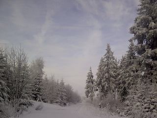 Winterlandschaft