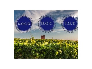 Appartamento per vacanze Cortemilia Documento 45