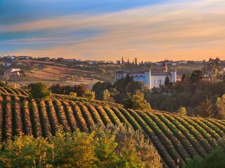 Barolo-Weinberge und historisches Schloss