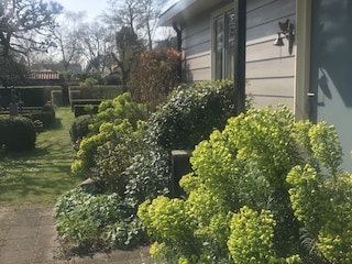 Ferienhaus Bergen (Holland) Umgebung 5