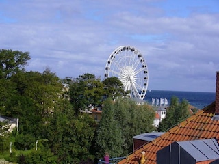 Blick vom Balkon Whg. 29