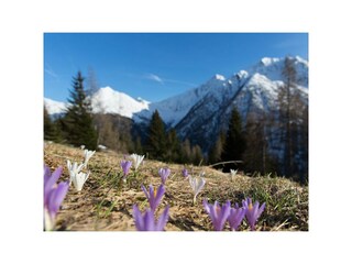 Wandern in Möltnerkaser