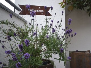 Appartamento per vacanze Kuens Ambiente 21