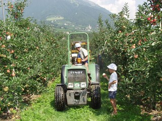 Appartamento per vacanze Kuens Ambiente 20