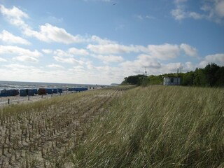 Ferienwohnung Kölpinsee Umgebung 31