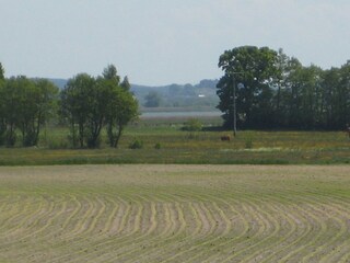 Ferienwohnung Kölpinsee Umgebung 32