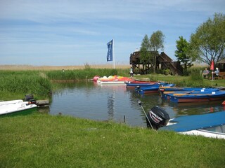 Ferienwohnung Kölpinsee Umgebung 25