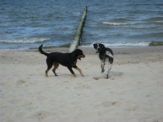 Ferienwohnung Kölpinsee Umgebung 34