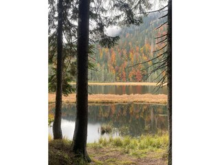 Großer Arbersee