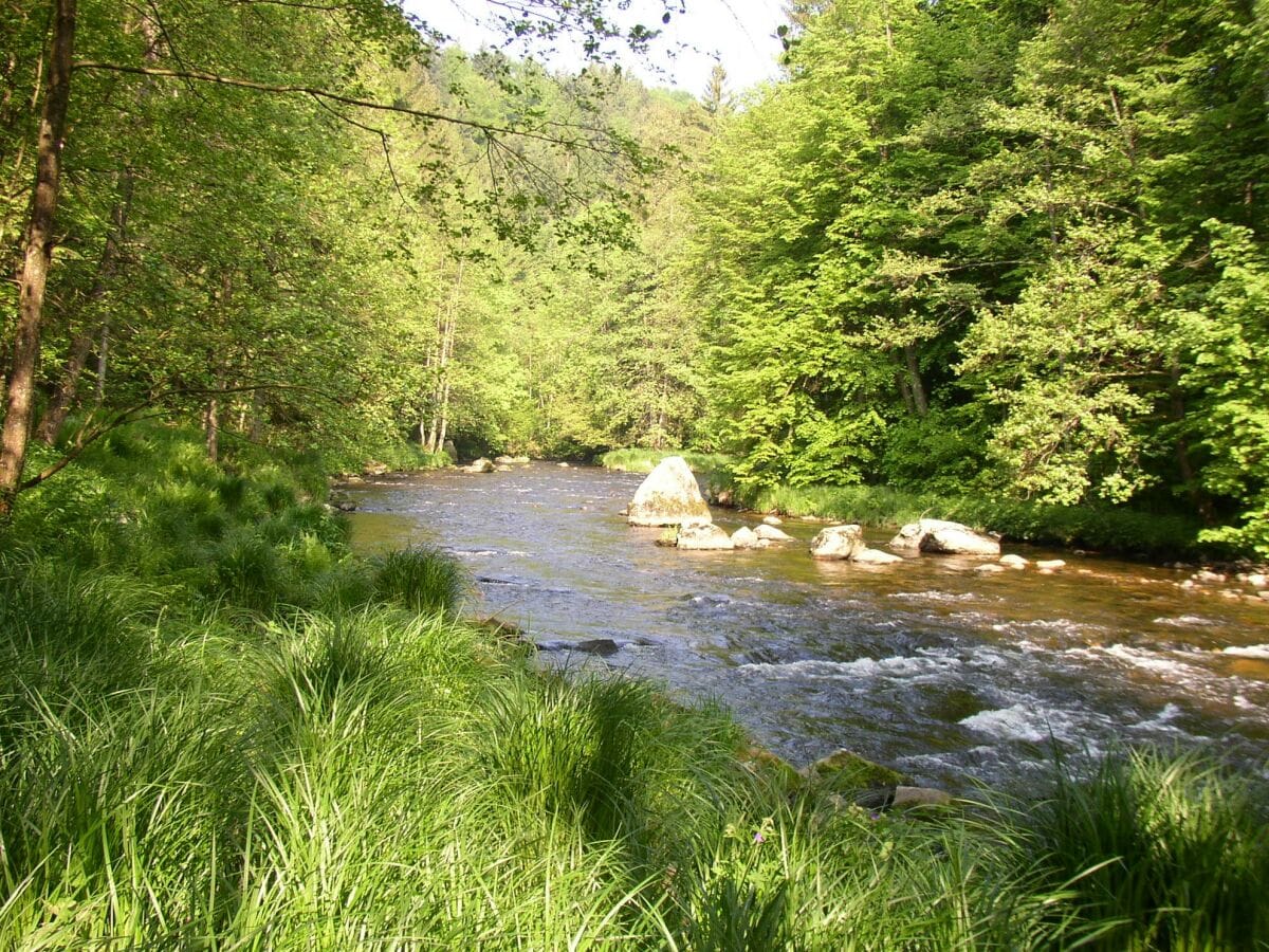 Bachlauf in unserer Nähe