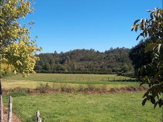 Type de propriété : Chalet Torrecilla en Cameros Environnement 23
