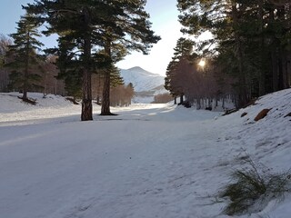 Casa per le vacanze Syrakus Ambiente 33