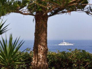 Sea views from the terrace