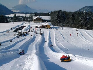Apartment Faistenau Environment 24