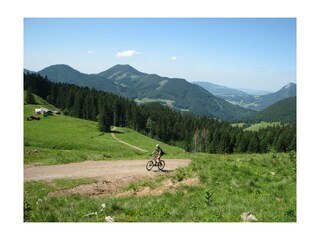 Apartment Faistenau Environment 21