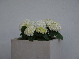 Appartamento per vacanze Marling Registrazione all'aperto 3