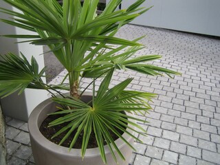 Appartamento per vacanze Marling Registrazione all'aperto 5