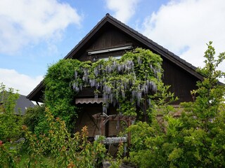 Appartement Neu Lüdershagen Buitenaudio-opname 1