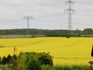 Apartamento Neu Lüdershagen Entorno 15