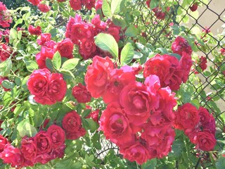 Appartement Bastorf Buitenaudio-opname 6