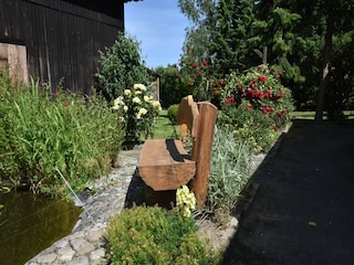 Apartment Bastorf Umgebung 31