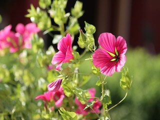 Apartamento Bastorf  39