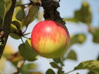 Apartment Bastorf  38