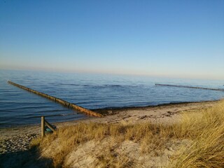 Type de propriété : Chalet Jamel Environnement 37