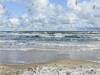 Apartment Klütz Environment 34