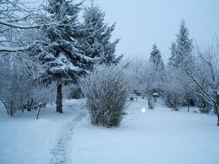 Apartment Schwaan Außenaufnahme 11