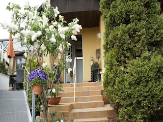 Apartment Schwaan Außenaufnahme 6
