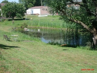 Vakantiehuis Tarnow Omgeving 19
