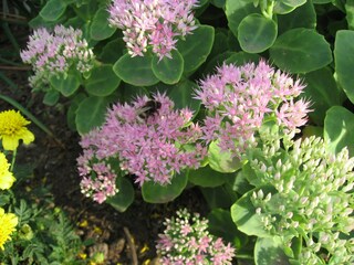 Casa per le vacanze Tarnow  39